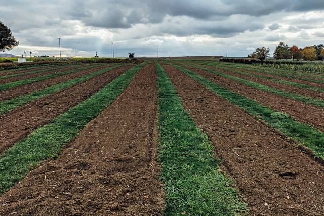 買賣農地免課稅? 搞錯這點他獲利300萬結果倒賠